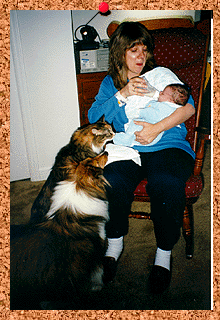 sean5.gif (51198 bytes)