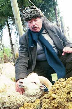 kurban3