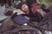 SLEEPING