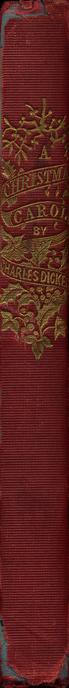 Spine Image