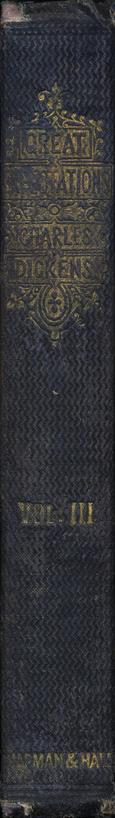 Spine Image