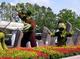 epcot_topiaries.jpg