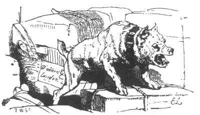 Boxer