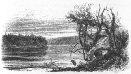 Catskill Lake