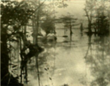 [Near the Borders of Lake Drummond]