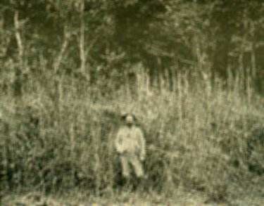 [Passing through the Cane-Break]
