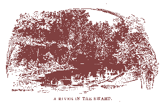 [A River in the Swamp]