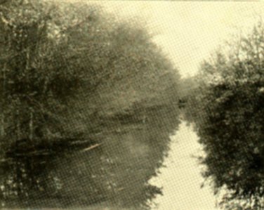 ['Washington's Ditch']
