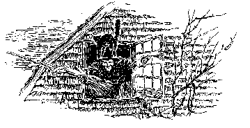 "the small
square windows"