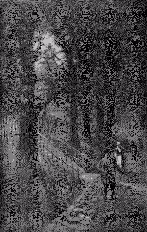 Walking, shaded by old elms, on
on the Boston Common, toward the new State House, or the
Houghton Mifflin building