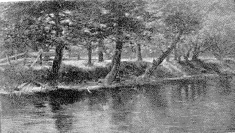 the river flows in spring