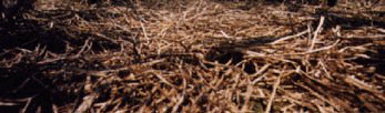 stalk chopper leaves coarse, long-lasting residue