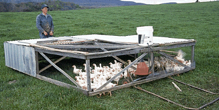 joel salatin advances one of the mobile broiler coops on his swoope va ...