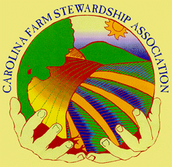 CFSA logo