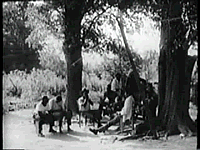 making music under the trees