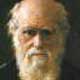 Charles Darwin -  Evolution Truth - Although I am fully convinced of the truth of the views given in this volume I by no means expect to convince experienced naturalists whose minds are stocked with a multitude of facts all viewed, during a long course of years, from a point of view directly opposite to mine. But I look with confidence to the future to young and rising naturalists, who will be able to view both sides of the question with impartiality.