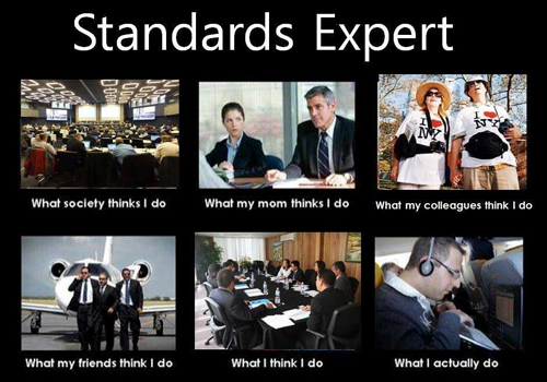 standards expert meme