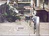 hk1998e.jpg