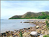 nt1998d.jpg