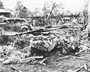 Japanese plane shot down by Lt George Welch