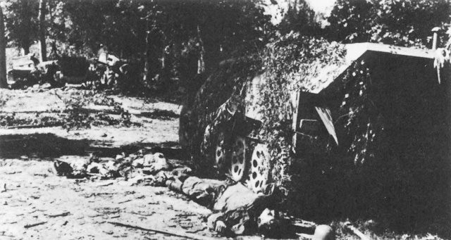 Image result for battle of the falaise pocket dead