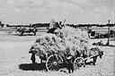 Eighth Air Force in Rural England