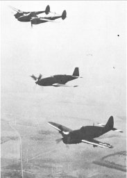Image: Little Brothers: P-38, P-51, P-47