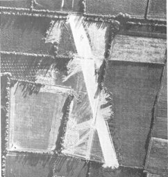Image: EMERGENCY AIRSTRIP IN THE NORMANDY HEDGEROWS