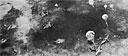 HOLLANDIA: KNOCKOUT OF ENEMY AIR POWER, 30 MARCH-3 APRIL 1944