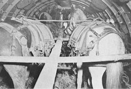 Image: Operation GRUBWORM December 1944