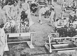 Image: ENGINE MECHANIC CLASS, RANDOLPH FIELD, TEX.