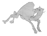 sketch: galloping camel