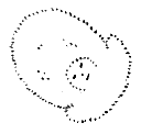 Pencil sketch--smiling face?