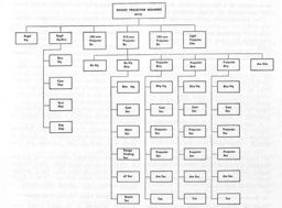 Figure 130.--Rocket Projector Regiment (motorized)