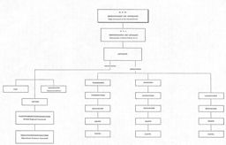 Figure 2.--German Air Force chain of command