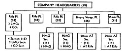 Figure 33. Organization of Infantry rifle company ('A' type with heavy weapons platoon)