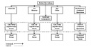 Chain of Command