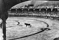 Photo # NH 2403:  Bullfight attended by Great White Fleet Sailors at Lima, Peru in February 1908