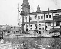 Photo # NH 42437:  USS Vester in port, circa 1917-1919