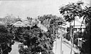 View of Leopoldville, seen from the balcony of the A.B.C. Hotel