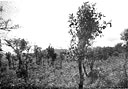 Ethiopian landscape around Saio