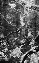 The Foret de la Londe