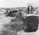 In the unexpected 20-mile belt of bush on the way to Gorai, officers stand on top of their vehicles to get a better view.