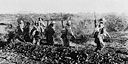 Men of 1st S.A. Irish occupy enemy field works after the capture of El Gumu.