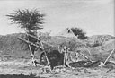 A 60-pounder of 1st Medium Brigade, S.A.H.A. in action at Combolcia Pass.