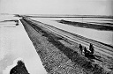 Floods along the banks of the Euphrates