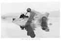 The Last of the <i>Tirpitz</i>