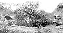 TANK OBSTACLES AND BARBED WIRE strung to delay the enemy advance
on Bataan (top); members of an antitank company in position on Bataan
(bottom). As the Japanese advanced, the defending forces withdrew toward the
Bataan Peninsula. The rugged terrain, protected flanks, and restricted 
maneuvering room on Bataan limited the enemy's ability to employ large numbers of
troops. Preparations for the defense of the peninsula were intensified and the
stocks of supplies were increased.