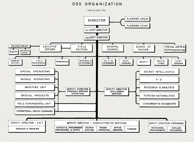 Department Of The Navy Organization Chart