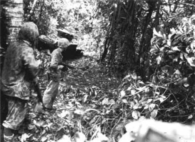 Top Of The Ladder Marine Operations In The Northern Solomons